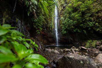 Obraz premium Waterfall in Madeira island pure nature with clean water