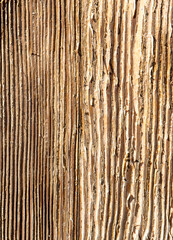 Fototapeta premium Old wood as an abstract background.