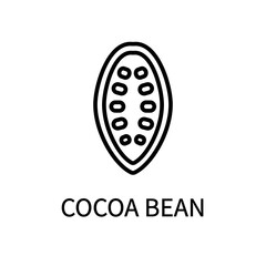 Cocoa Bean Line Icon Is In Simple Style. Healthy Food. Natural Product. Vector sign in a simple style isolated on a white background.