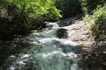 Obraz premium 福島県の安達太良山の登山