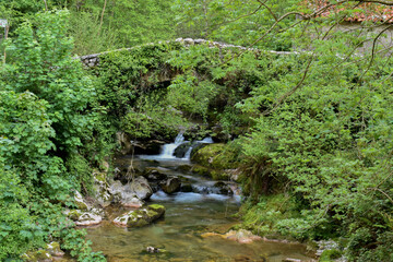Puente romano de Duje en Tielve, Asturias
