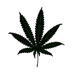 Black hemp leaf with green streaks isolated on a white background. Vector illustration.