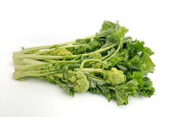 Bunch of fresh turnip tops , italian cime di rapa, isolated on white background - Powered by Adobe
