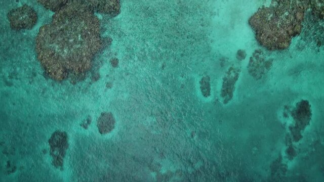 Lifou tropical island, New Caledonia, turquoise seascape, 4K aerial top down