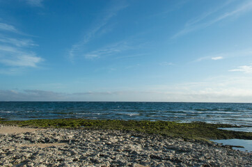 Fototapeta na wymiar 干潮で岩肌の見える海岸と砂浜