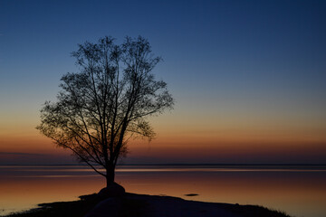 Fototapeta na wymiar beautiful lonely tree silhouette by the lake at sunset with an orange glow and a blue sky.