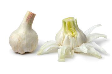 Structure of the inside of a fresh raw whole garlic bulb and a whole one close up on white background   