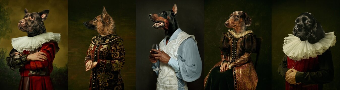 Models like medieval royalty persons in vintage clothing headed by dog's heads on dark vintage background.