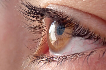 Brown eyes of a child looking at a monitor or video screen