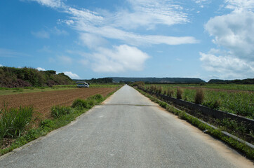 一直線の舗装された田舎の農道