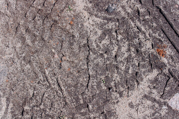 Abstract grunge concrete gray uneven texture. Promotional loose gray wallpaper with space. 