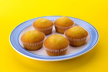 Muffins on white and blue plate, isolated on yellow background