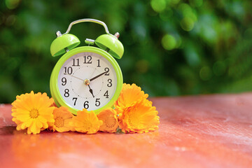 A green alarm clock with orange marigold flowers shows 5 o'clock, against a background of foliage....