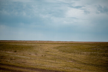 Fototapeta premium Agricultural fields, lots of empty work space, harvesting 