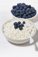 fresh farm products, cottage cheese and blueberries on a white background, vertical