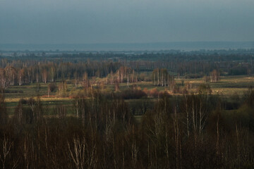 Fototapeta premium Top view of a field with trees