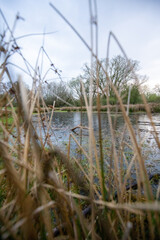 kleiner Teich im Grünen bei bewölktem himmel mit bäumen im hintergrund
