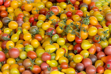 Full-frame pictures of small tomatoes