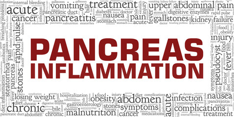Pancreas inflammation vector illustration word cloud isolated on a white background.