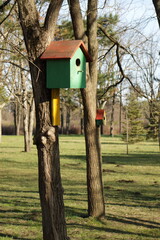 Picture of bird feeders in the park.