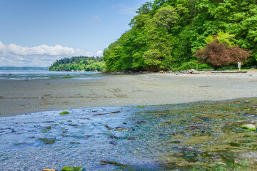 Low Tide Shoreline Landscape 2