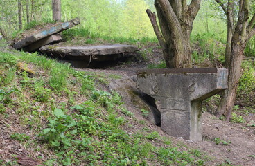 Remains of a concrete structure in the forest