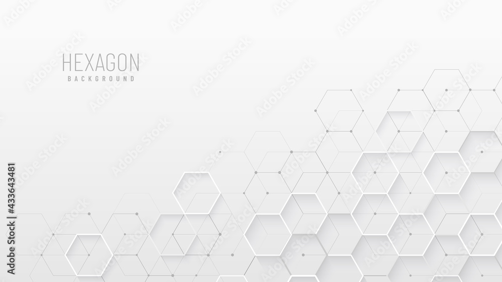 Canvas Prints abstract white grey background with hexagonal shape design. modern & futuristic concept. you can use