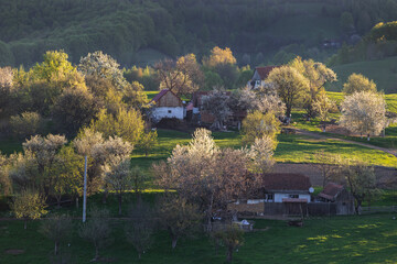 Rural mountain landscape with remote Romanian village uphill in the valleys of Carpathian...