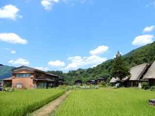 Fototapeta na wymiar japanese village in the mountains in shirakawa go