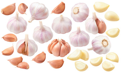 Big set of garlic. Bulbs, heads, cloves, segments isolated on white background
