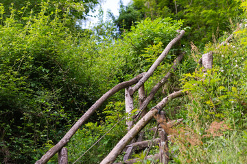 Obraz premium Wooden railing made of old wood. A forest path descends into a ravine. Spring forest on a sunny day.