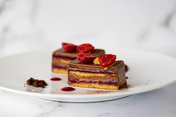 Delicious chocolate and raspberry cake slice dessert