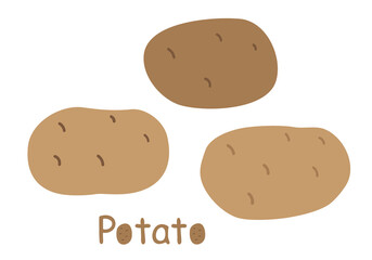 Colored unpeeled potatoes  with the original inscription. Farmer market product. Healthy organic food. Hand drawn stylized flat vector illustration. Potato Isolated on a white background. 