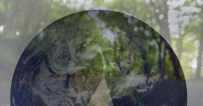 Fototapeta Composition of globe over road and green forest
