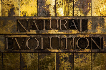 Natural Evolution text on vintage textured grunge copper and gold steampunk background