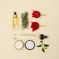 Creative concept of organic natural cosmetic and plants on peach background. 