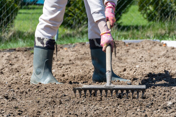 loosening the soil with a rake for planting