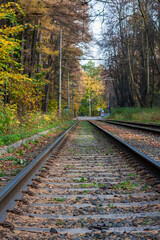 tram way in autumn park