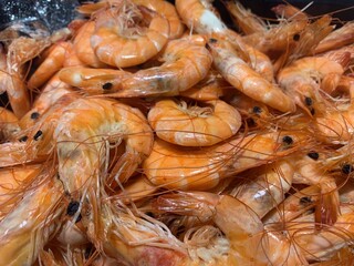 A large pile of boiled shrimp. Boiled shrimp on a tray. Ready-to-cook seafood