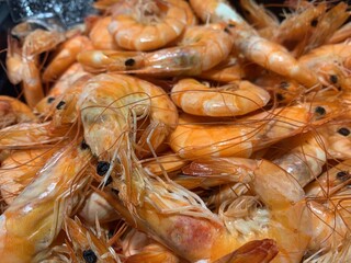 A large pile of boiled shrimp. Boiled shrimp on a tray. Ready-to-cook seafood