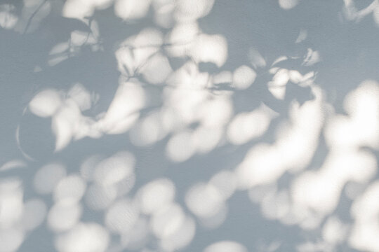 Shadow and light from sunlight of natural leaf tree branch , overlay effect