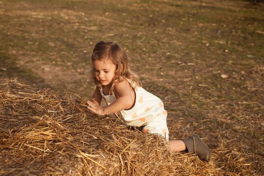 Side view of curious little girl in overalls climbing straw bale while playing in evening in countryside