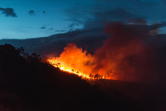 Countryside forest with cloudy sky covered by fire smoke during the evening