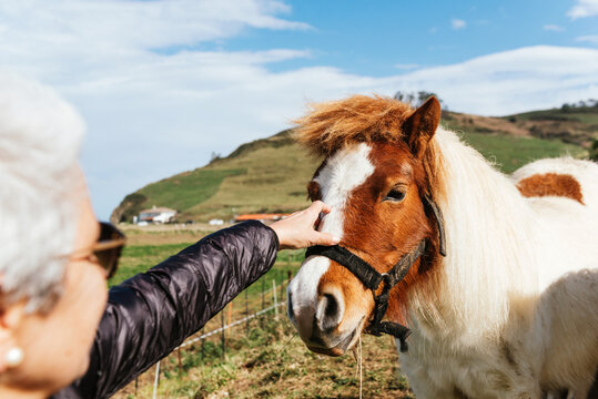 Crop unrecognizable elderly female in sunglasses caressing mare with fluffy mane in countryside field under cloudy sky