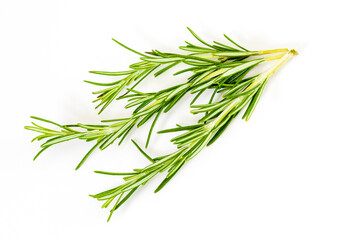 3 (three) delicate branches of rosemary. Foreground. Isolated on white background.