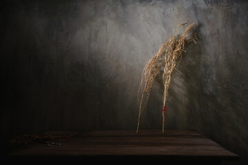 Twigs of dried plants placed on wooden table near wall with sunlight in dark room
