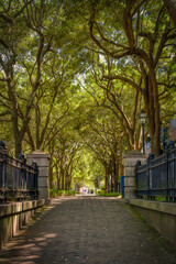 Charleston Ravenel Waterfront Park
