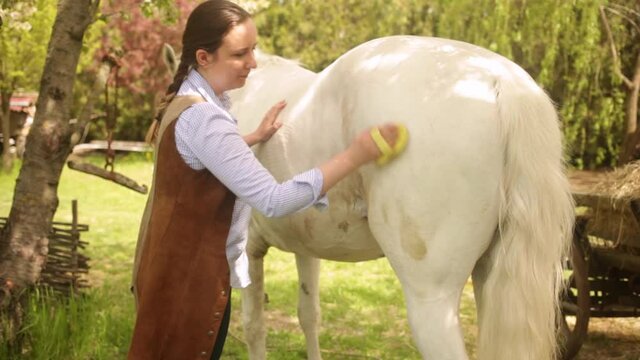 A young woman cleans a white horse with a yellow brush in nature. Green grass, beautiful background. Animal care, love friendship. grooming, ranch. cart with straw