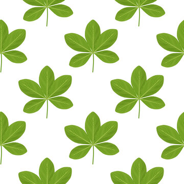 Green scheffler flowers ornament seamless isolated doodle pattern. Botanic hand drawn backdrop.