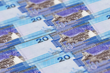 20 GMB. Gambian dalasi banknotes background.